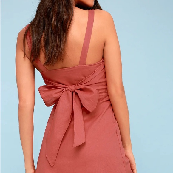 Louetta Rust Red Button-Down Mini Dress - Picture 4 of 9